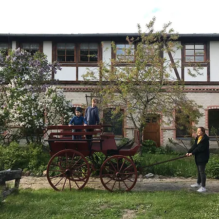 Wohnung-33 *